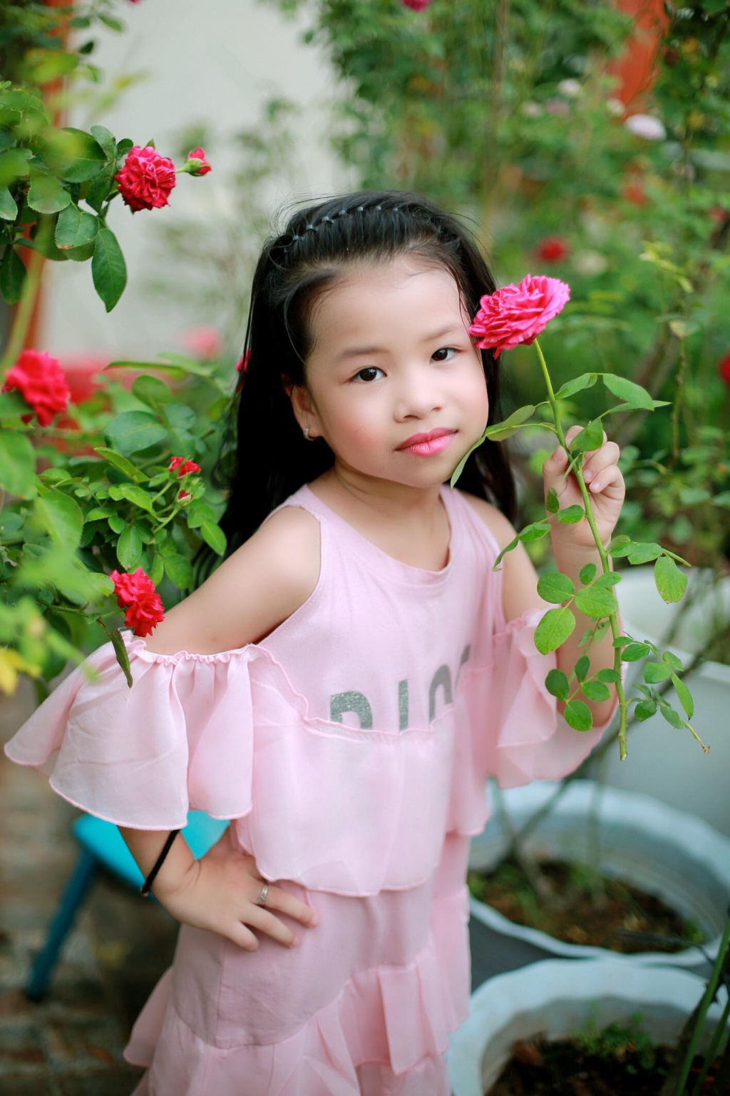 Sân thượng nhỏ “chứa” cả trăm gốc hồng đẹp mê hoặc của mẹ ba con xứ Thanh san thuong nho chua ca tram goc hong dep me hoac cua me ba con o ha noi