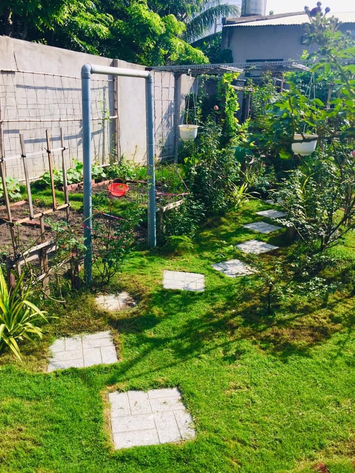 Vườn rau xanh mướt bất chấp nắng nóng mùa hè của người phụ nữ đảm đang ở Tây Ninh Vườn rau xanh mướt bất chấp nắng nóng mùa hè của người phụ nữ đảm đang ở Tây Ninh