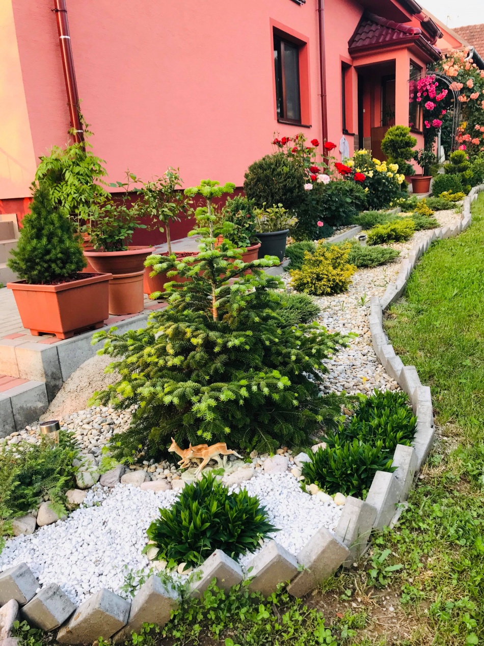 Người phụ nữ Việt xa quê quyết "xây" ngôi nhà hoa hồng đẹp như mơ dành tặng cho riêng mình nguoi phu nu viet xa que quyet xay ngoi nha hoa hong dep nhu mo danh tang cho rieng minh