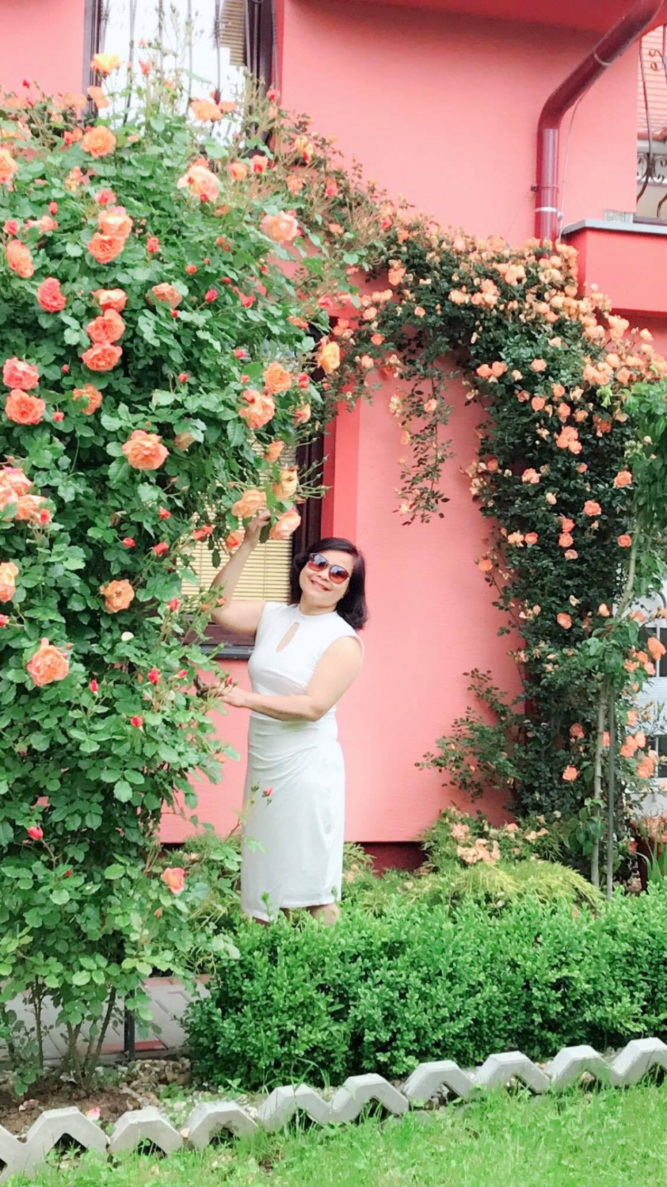 Người phụ nữ Việt xa quê quyết "xây" ngôi nhà hoa hồng đẹp như mơ dành tặng cho riêng mình nguoi phu nu viet xa que quyet xay ngoi nha hoa hong dep nhu mo danh tang cho rieng minh