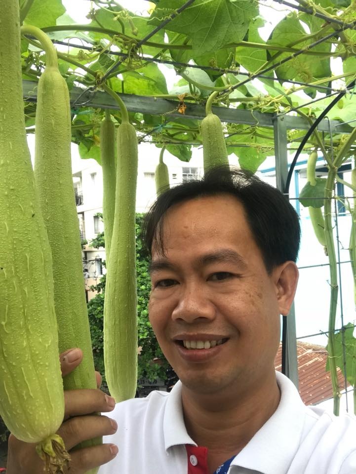 Vườn hoa quả trĩu trịt quả níu cong cành trên sân thượng của người đàn ông ở TP HCM vuon hoa qua triu trit qua niu cong canh tren san thuong cua nguoi dan ong o tp hcm