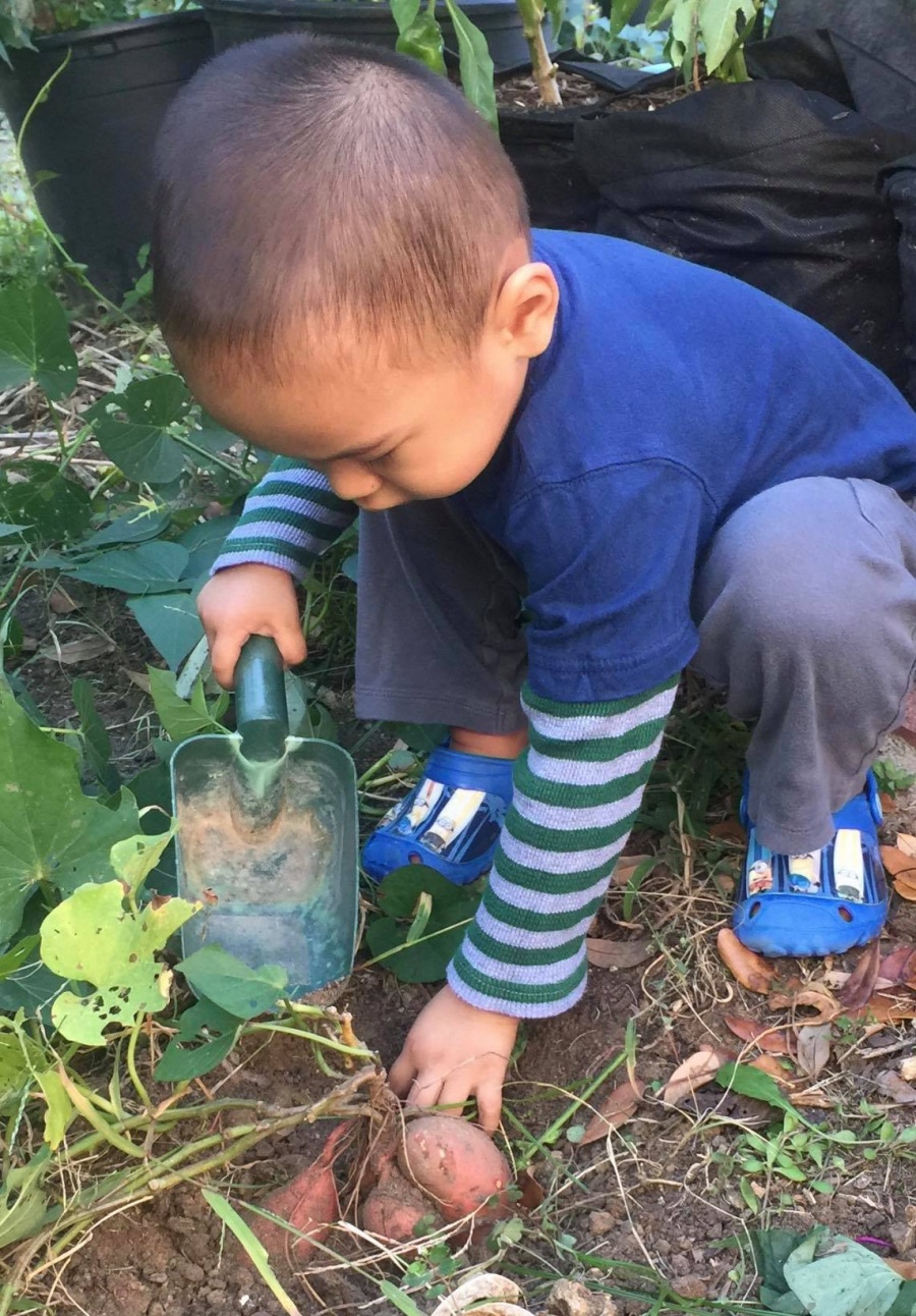 Bà mẹ thoát khỏi trầm cảm sau 2 lần sinh con nhờ trồng hoa và rau quả sạch ba me thoat khoi tram cam sau 2 lan sinh con nho trong hoa va rau qua sach