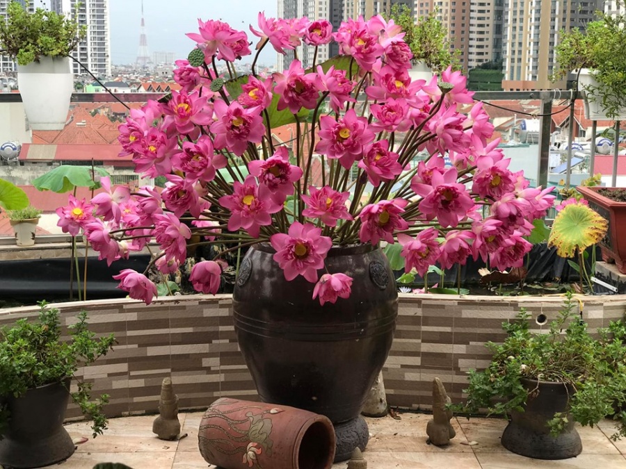 Người phụ nữ 