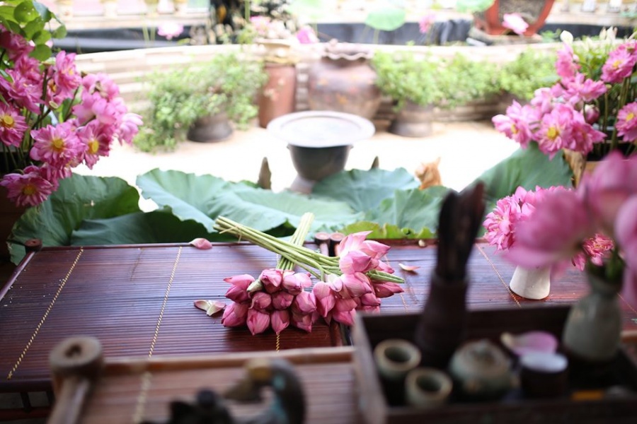Người phụ nữ "nặng lòng" nâng niu mang cả hương sen Hà Nội vào tổ ấm Người phụ nữ