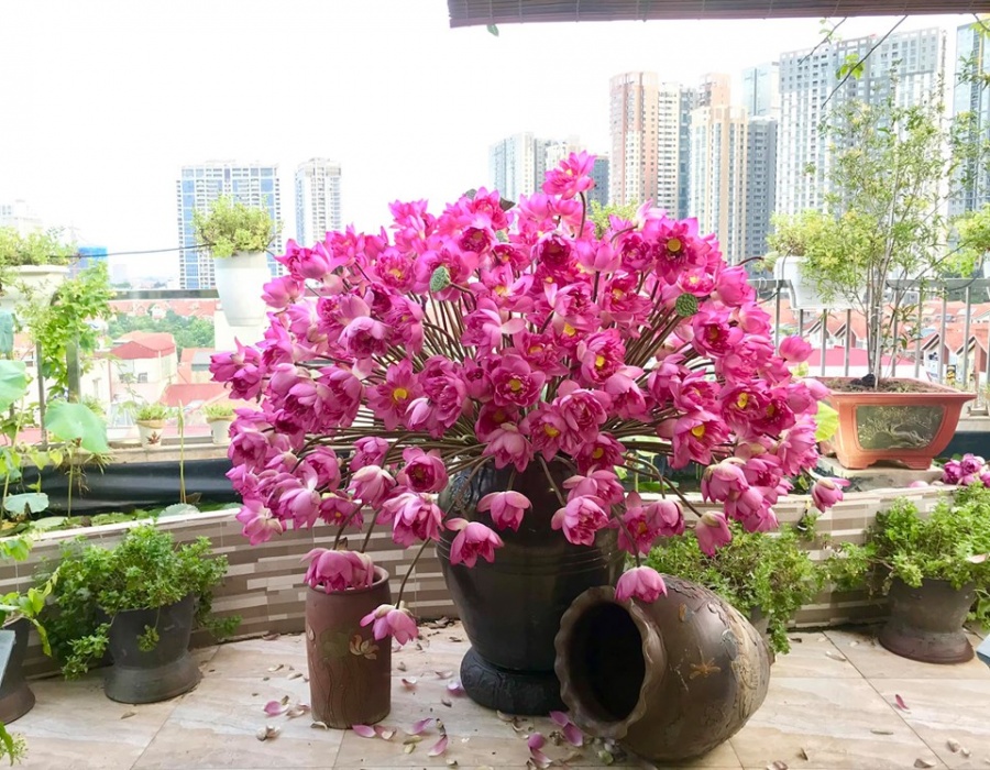 Người phụ nữ 