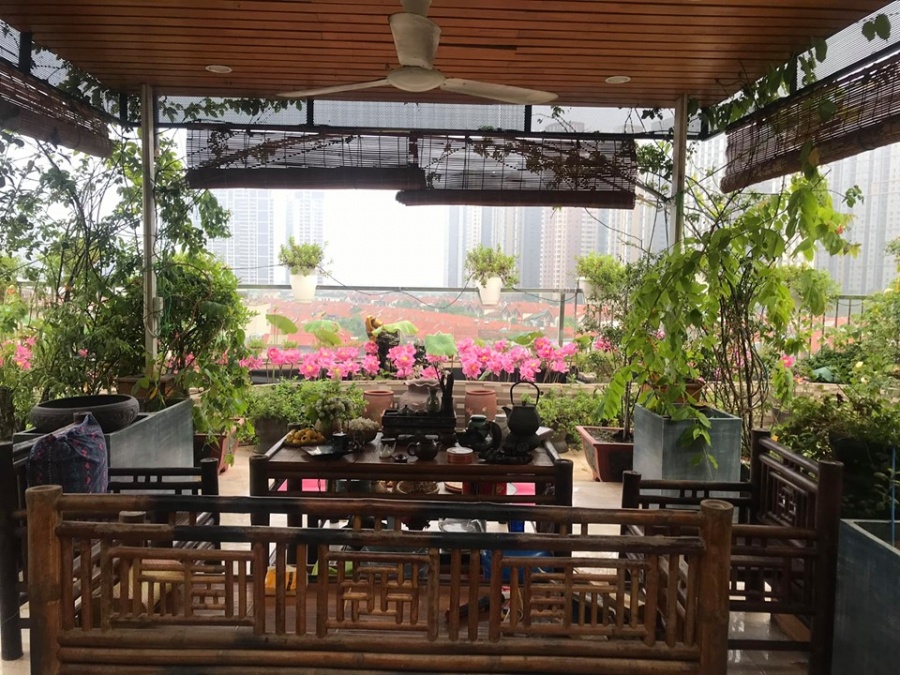 Người phụ nữ "nặng lòng" nâng niu mang cả hương sen Hà Nội vào tổ ấm Người phụ nữ