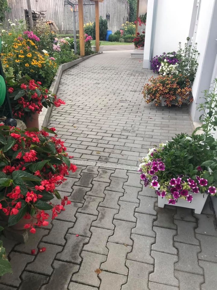 Khu vườn 200m2 đẹp như mơ với đủ loại hoa, cây ăn quả và rau sạch của người phụ nữ Việt ở Đức Khu vườn 200m2 đẹp như mơ với đủ loại hoa, cây ăn quả và rau sạch của người phụ nữ Việt ở Đức