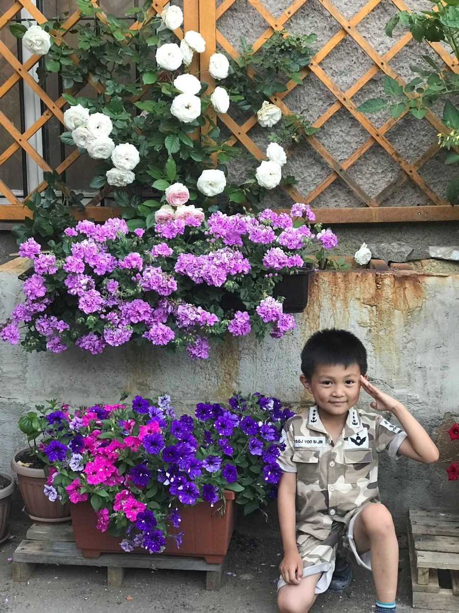 Anh chồng Hà Nội tâm lý tự thiết kế vườn trên sân bê tông cho vợ trồng rau và hoa anh chong ha noi tam ly tu thiet ke vuon tren san be tong cho vo trong rau va hoa 84651