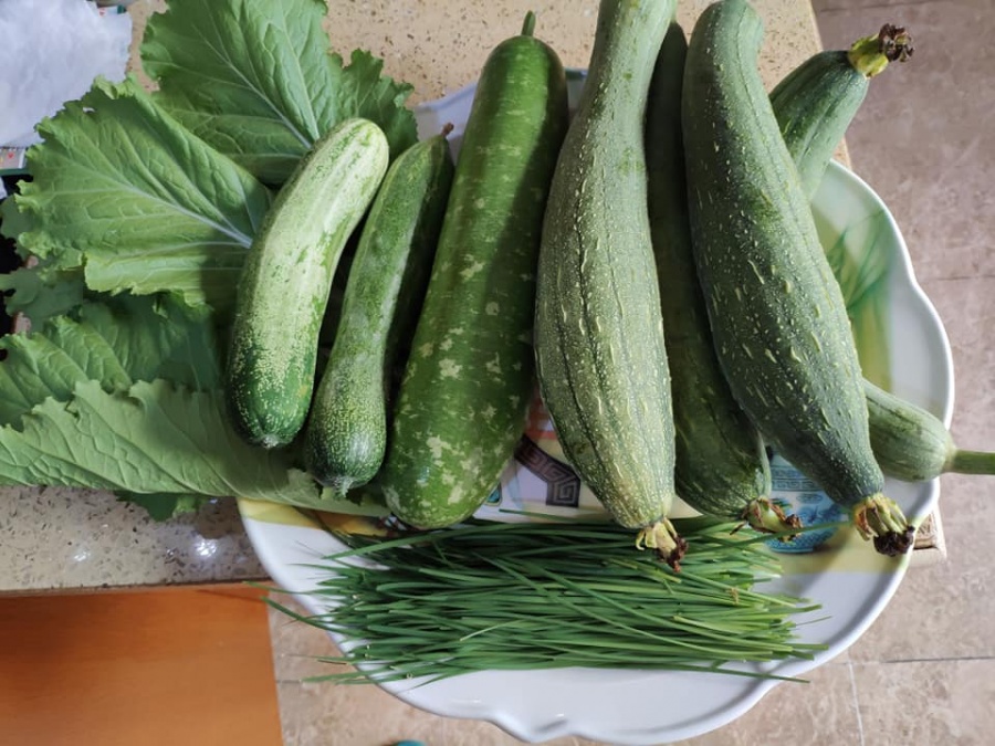 Khu vườn trên cao đủ loại rau xanh quả sạch bà ngoại ngày đêm chăm bón cho cháu thưởng thức ở Sài Gòn khu vuon tren cao du loai rau xanh qua sach ba ngoai ngay dem cham bon cho chau thuong thuc o sai gon