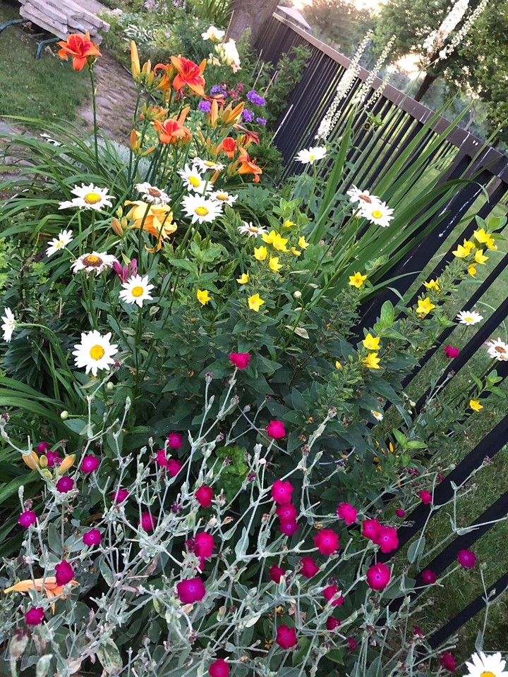 ghe tham khu vuon khong hoa chat van xanh tuoi rau cu cua nguoi phu nu cham chi trong sau khi ve huu