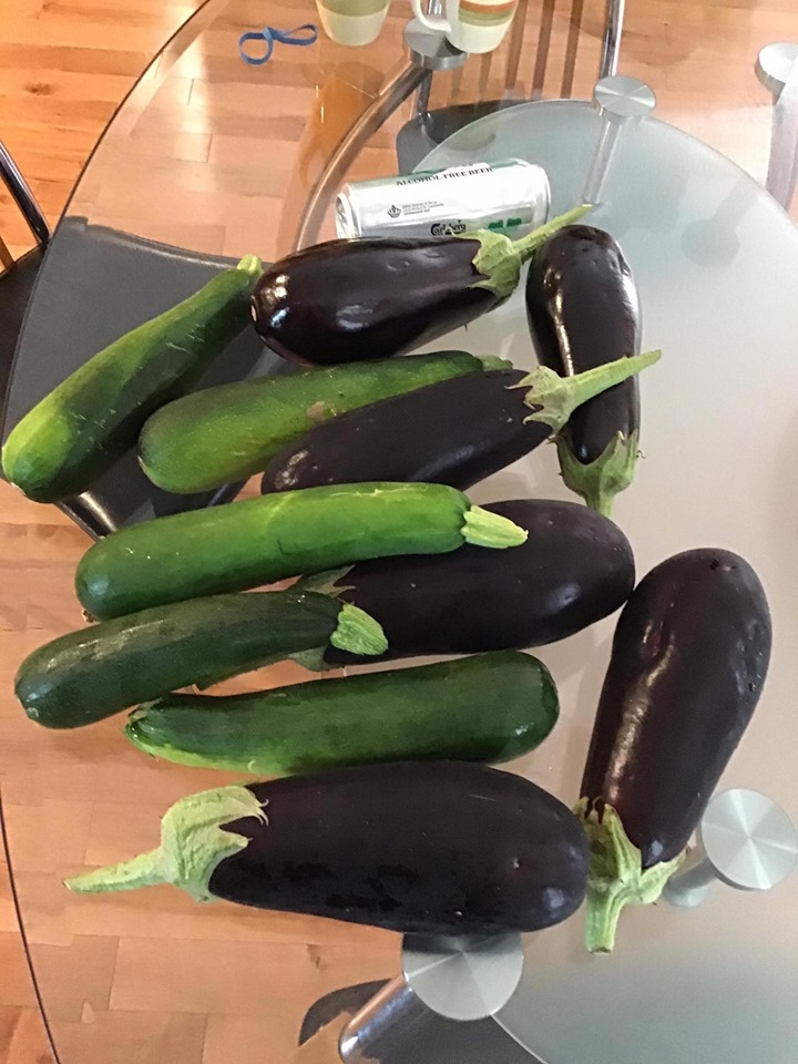 ghe tham khu vuon khong hoa chat van xanh tuoi rau cu cua nguoi phu nu cham chi trong sau khi ve huu