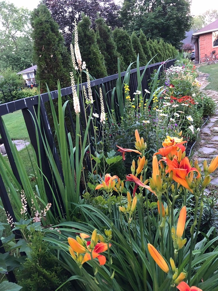 ghe tham khu vuon khong hoa chat van xanh tuoi rau cu cua nguoi phu nu cham chi trong sau khi ve huu