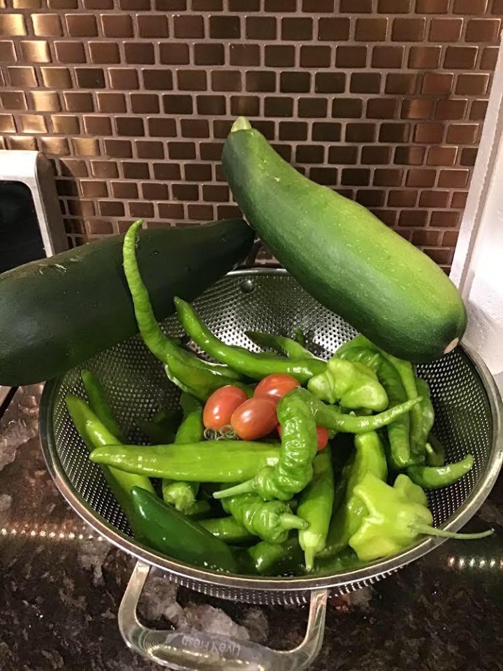 ghe tham khu vuon khong hoa chat van xanh tuoi rau cu cua nguoi phu nu cham chi trong sau khi ve huu