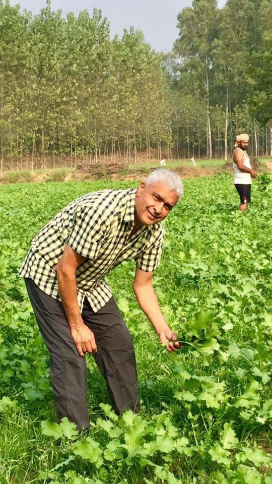 khu vuon binh yen voi du loai rau qua huu co cua nguoi dan ong thich lam vuon suot 40 nam