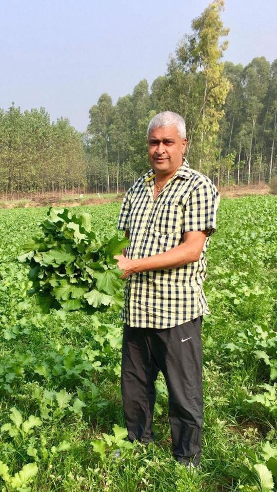 khu vuon binh yen voi du loai rau qua huu co cua nguoi dan ong thich lam vuon suot 40 nam