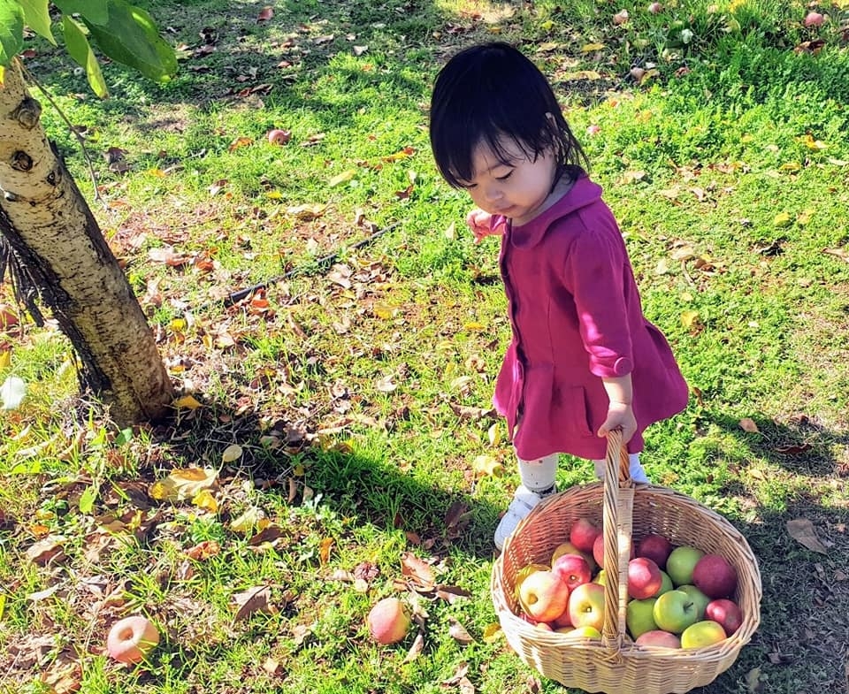 cuoc song binh yen cua nguoi me tre danh ca thanh xuan ben con gai ben khu vuon tuoi xanh cay trai