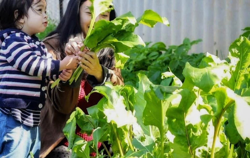 Cuộc sống bình yên của người mẹ trẻ dành cả thanh xuân cùng con gái bên khu vườn tươi xanh cây trái cuoc song binh yen cua nguoi me tre danh ca thanh xuan ben con gai ben khu vuon tuoi xanh cay trai