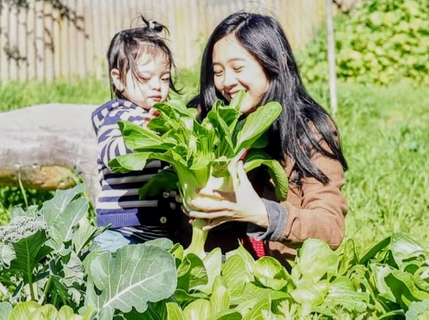 Cuộc sống bình yên của người mẹ trẻ dành cả thanh xuân cùng con gái bên khu vườn tươi xanh cây trái cuoc song binh yen cua nguoi me tre danh ca thanh xuan ben con gai ben khu vuon tuoi xanh cay trai