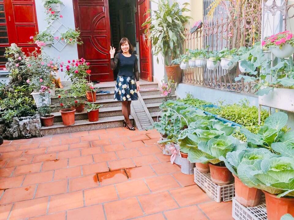 Rau củ quả sai trĩu trên sân thượng 40m2 của bà mẹ ở Quảng Ninh rau cu qua sai triu tren san thuong 40m2 cua ba me o quang ninh