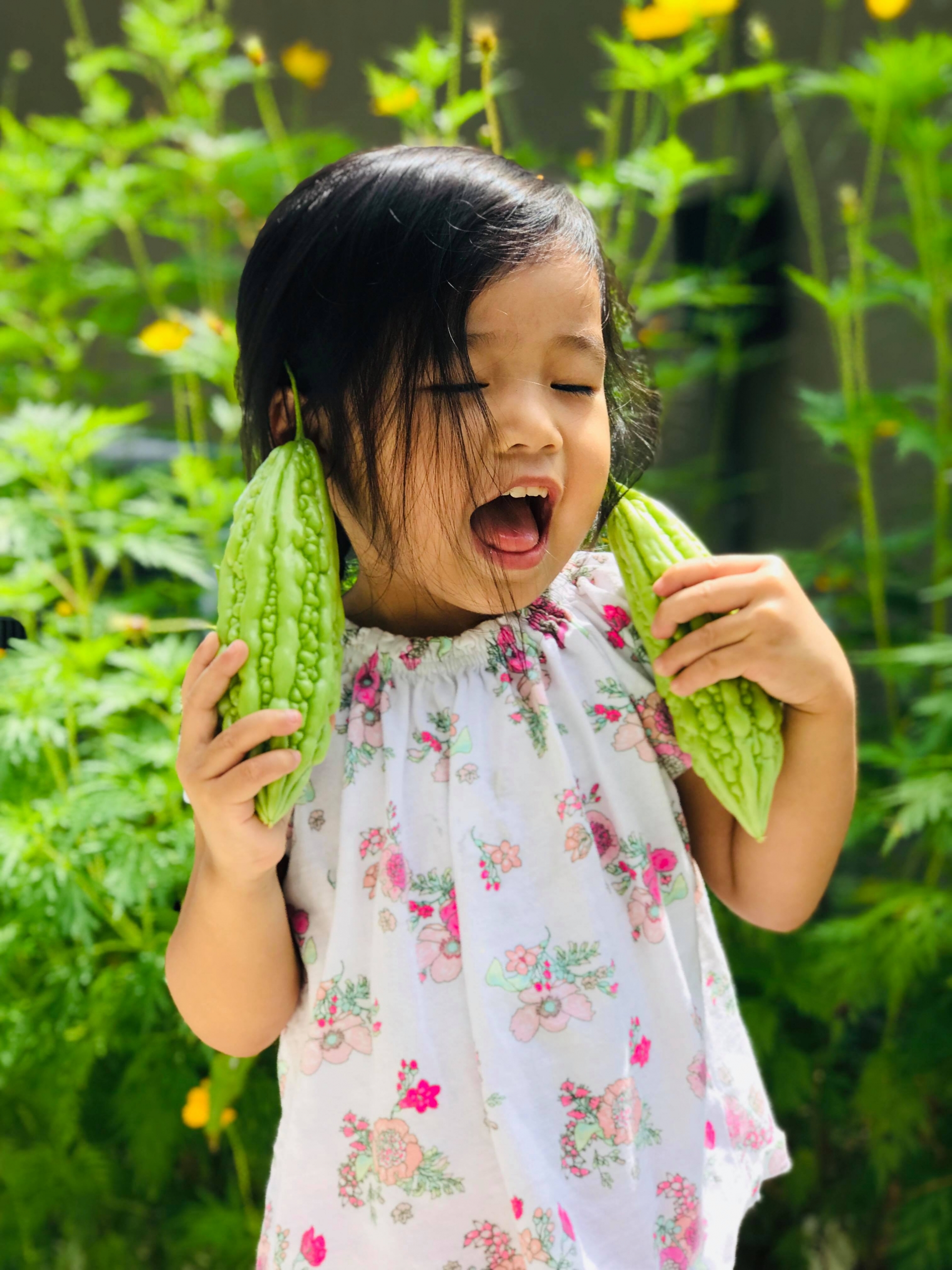 Khu vườn đậm chất quê hương của mẹ Việt ở Mỹ cho vơi bớt nỗi nhớ nhà khu vuon dam chat que huong cua me viet trong o my cho voi bot noi nho nha