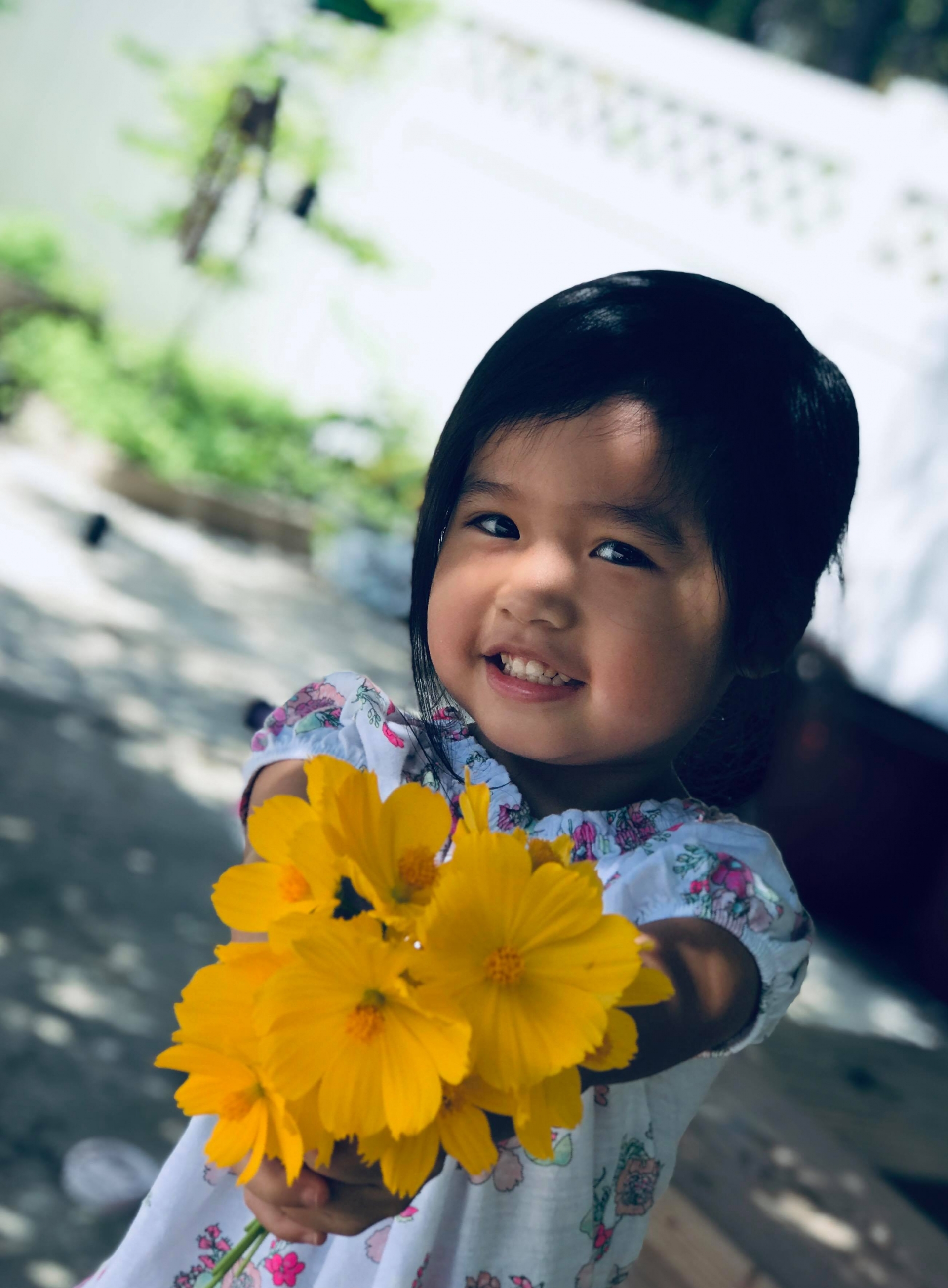 Khu vườn đậm chất quê hương của mẹ Việt ở Mỹ cho vơi bớt nỗi nhớ nhà khu vuon dam chat que huong cua me viet trong o my cho voi bot noi nho nha