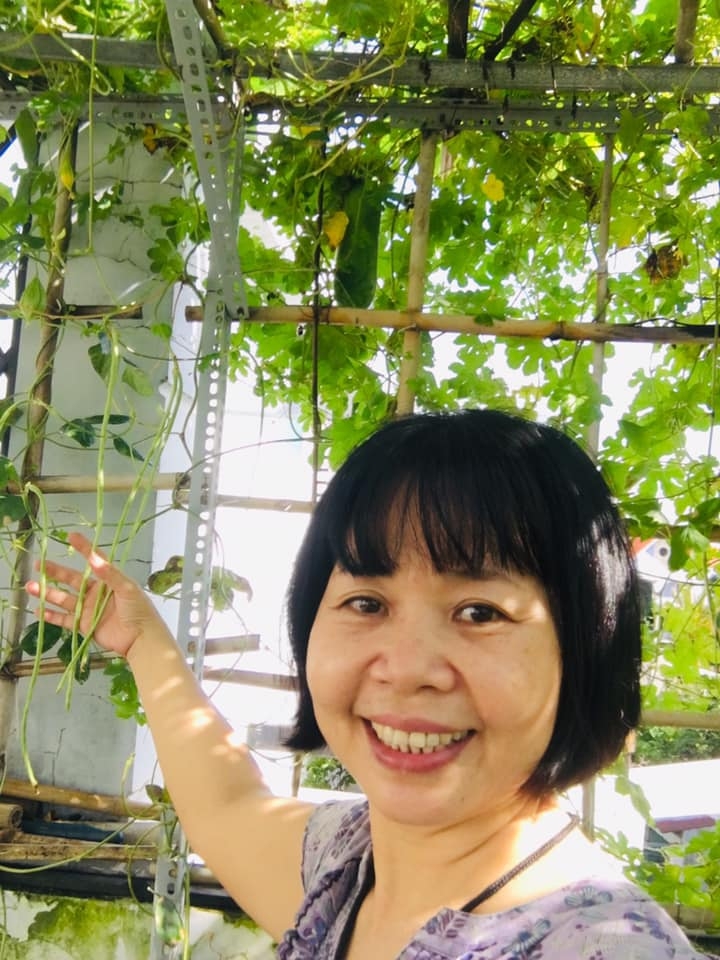 Cuộc sống thảnh thơi của người phụ nữ Sài Thành trồng đủ loại rau quả trên sân thượng 20m2 cuoc song thanh thoi cua nguoi phu nu sai thanh yeu thich trong du loai rau qua tren san thuong 20m2