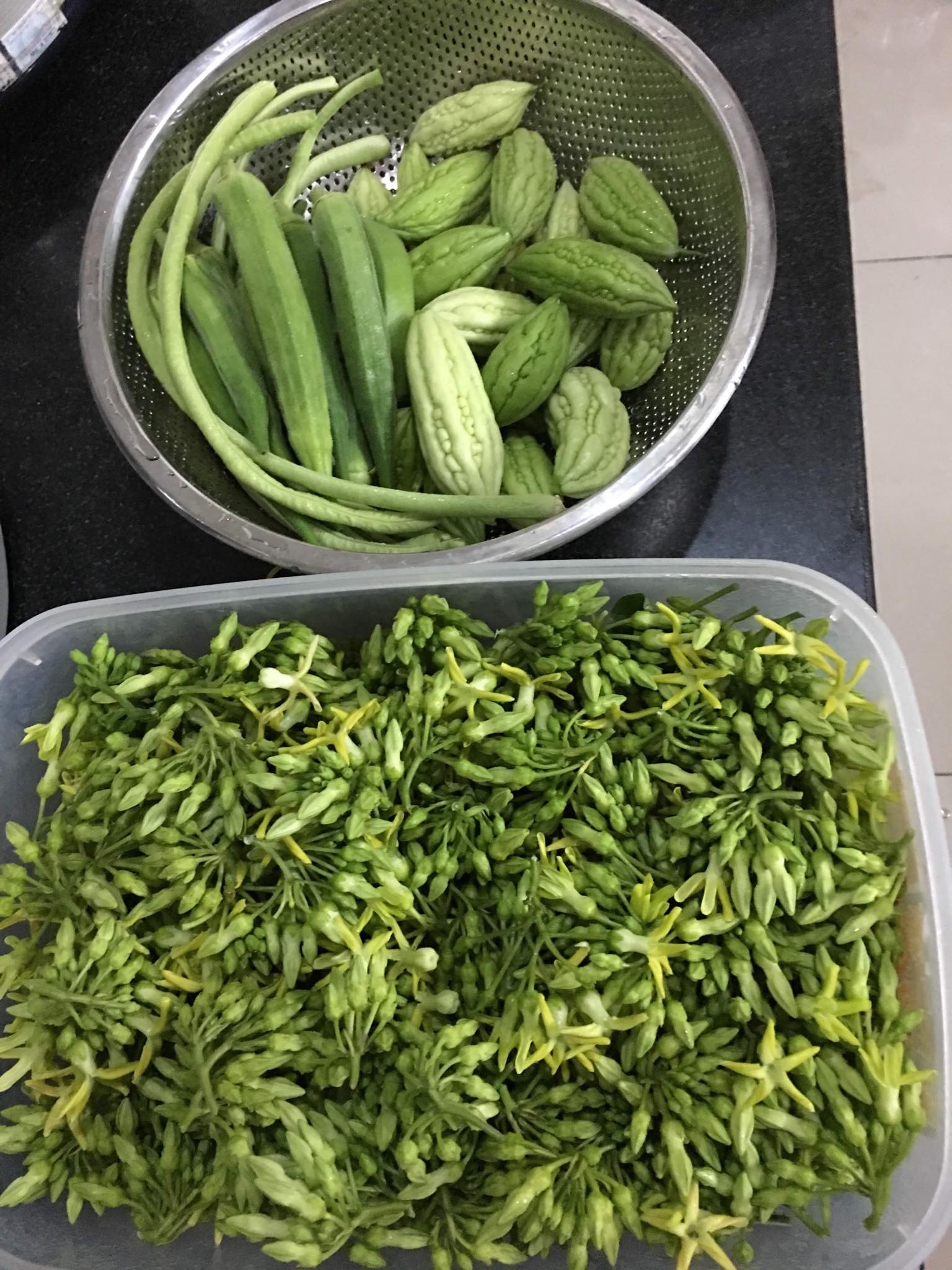cuoc song thanh thoi cua nguoi phu nu sai thanh yeu thich trong du loai rau qua tren san thuong 20m2