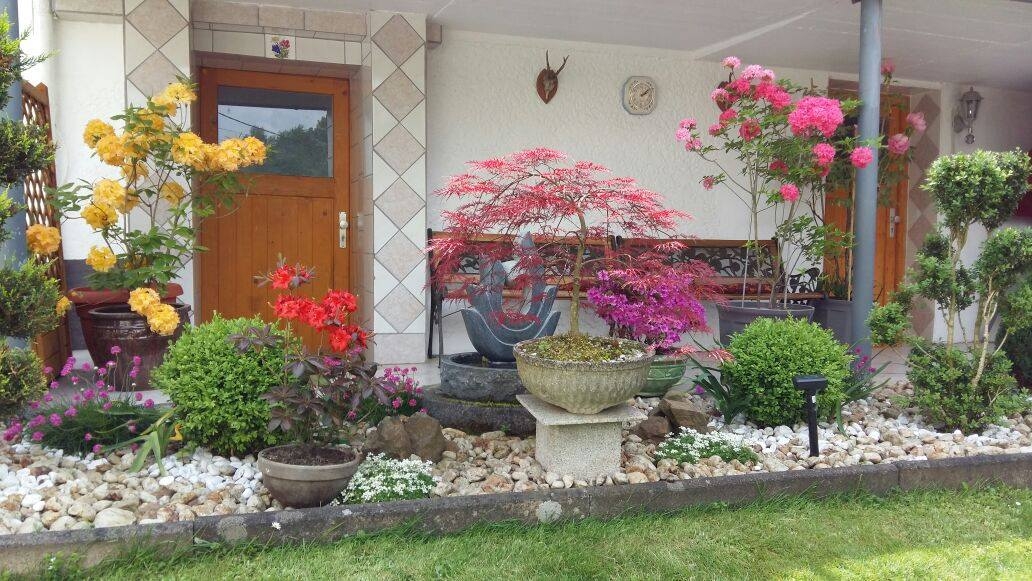 Khu vườn 1000m2 đầy hoa thơm trái ngọt của cặp vợ chồng người Việt ở Đức khu vuon 1000m2 day hoa thom va trai ngot nho ban tay dam dang trong trot cham bon cua cap vo chong nguoi viet o duc