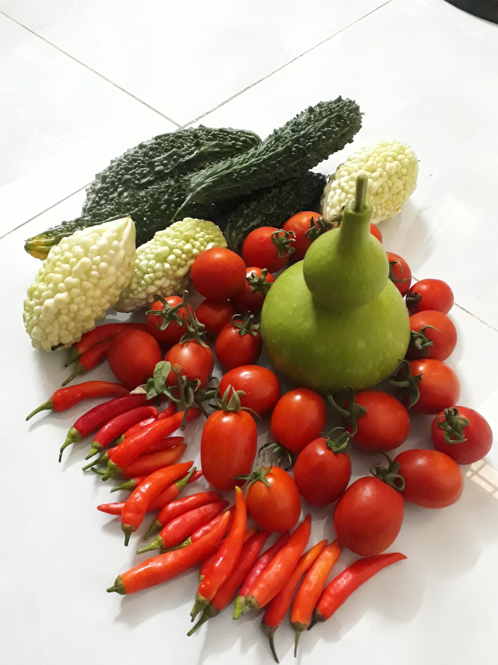 Sân thượng xây bồn kiên cố trồng đủ loại cây như trang trại ở Vũng Tàu san thuong xay bon kien co trong du loai cay nhu trang trai o vung tau