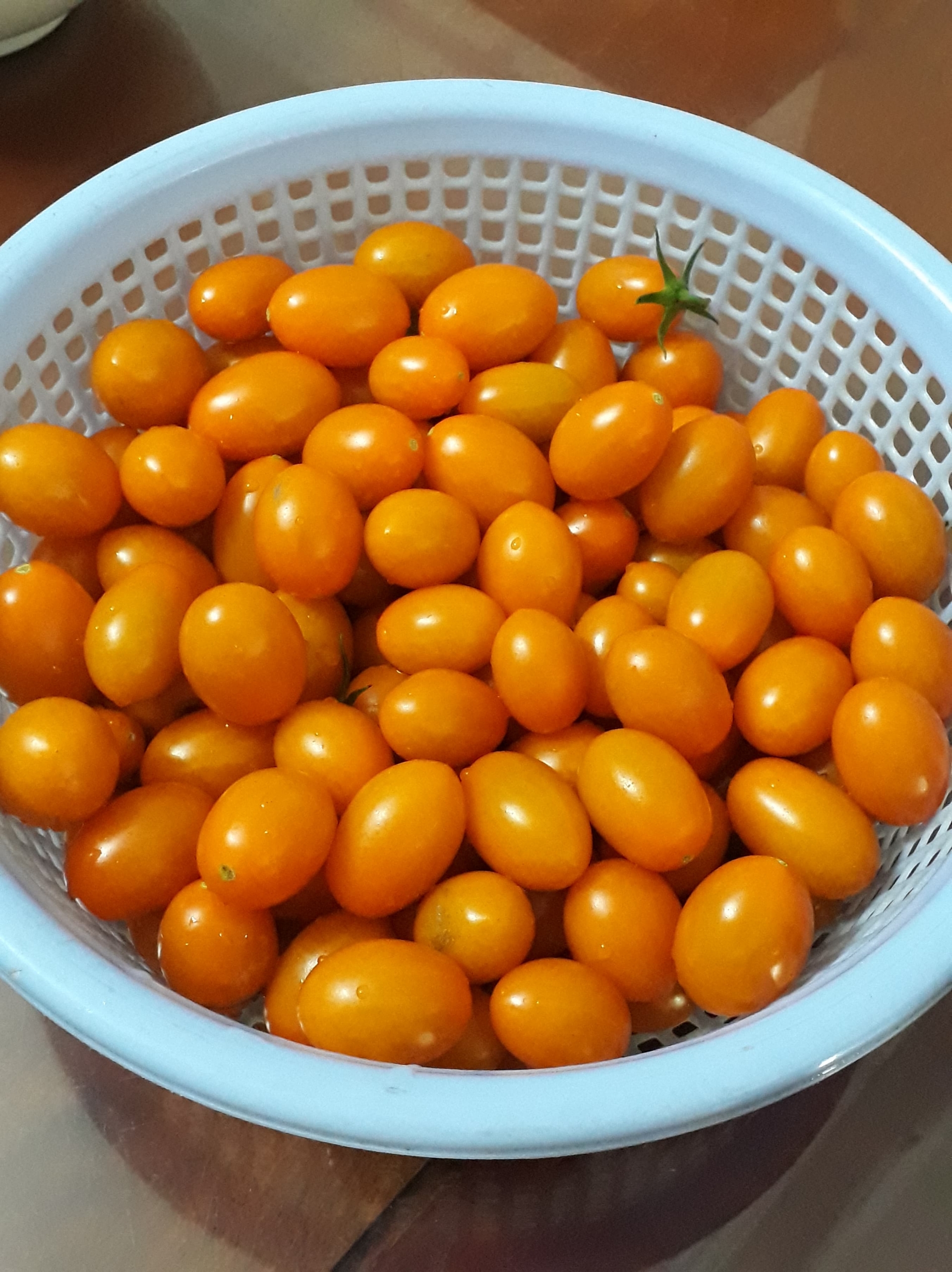 Sân thượng xây bồn kiên cố trồng đủ loại cây như trang trại ở Vũng Tàu san thuong xay bon kien co trong du loai cay nhu trang trai o vung tau