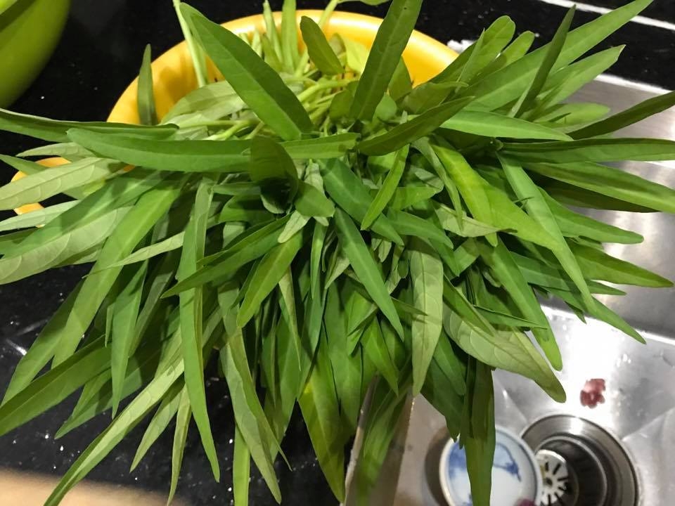 Ngôi nhà hạnh phúc thơm hương hoa hồng của cặp vợ chồng trẻ ở Thủ Đức, TP. HCM ngoi nha hanh phuc thom huong hoa hong cua cap vo chong tre o thu duc tp hcm