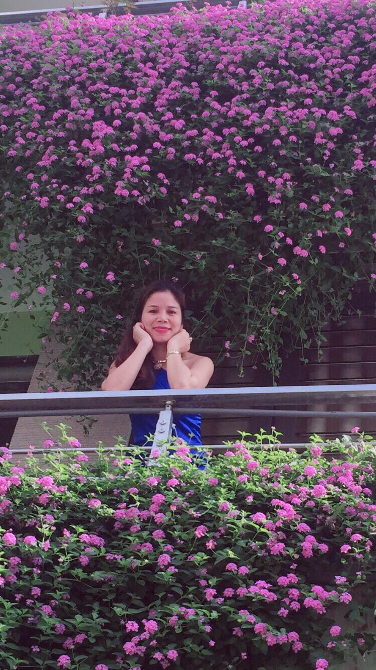 mat tien ngoi nha dien bien dep nhu tranh ve nho phu kin hoa mau tim ruc ro