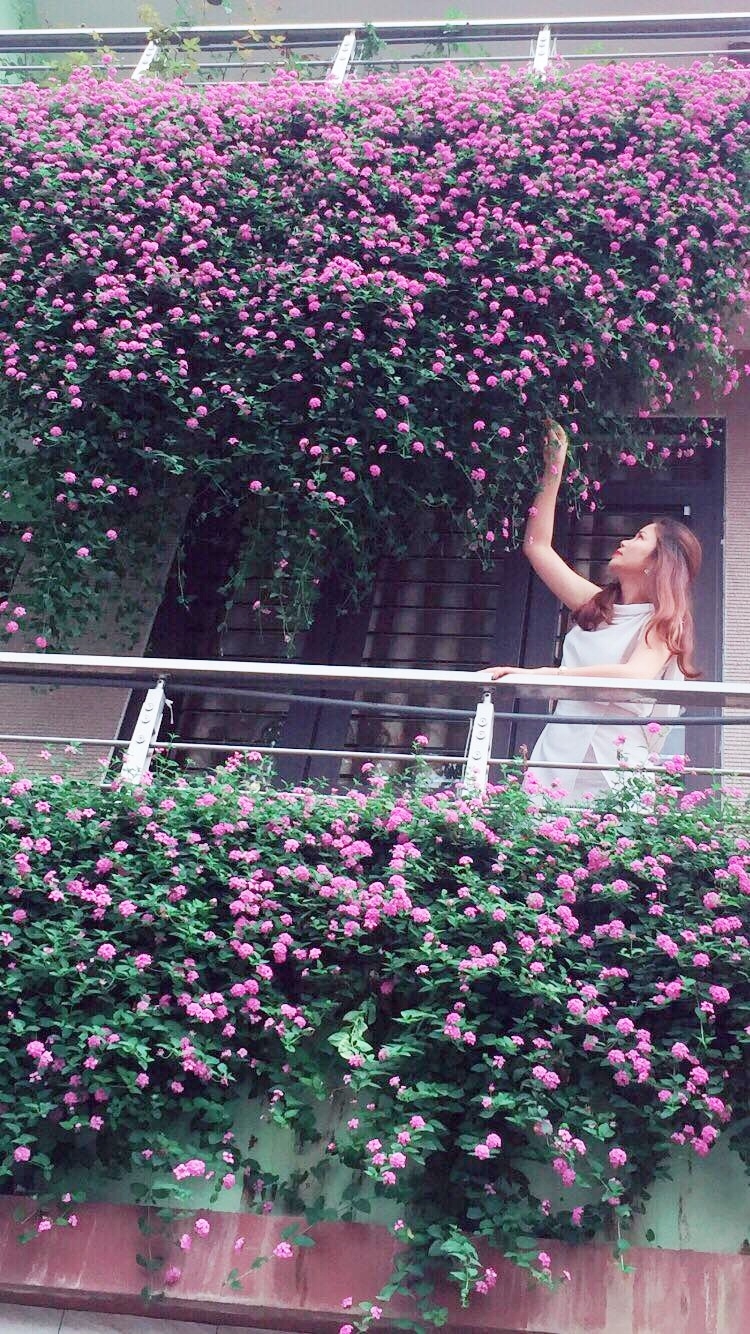 mat tien ngoi nha dien bien dep nhu tranh ve nho phu kin hoa mau tim ruc ro