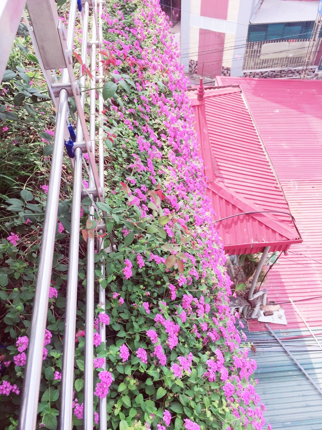 mat tien ngoi nha dien bien dep nhu tranh ve nho phu kin hoa mau tim ruc ro