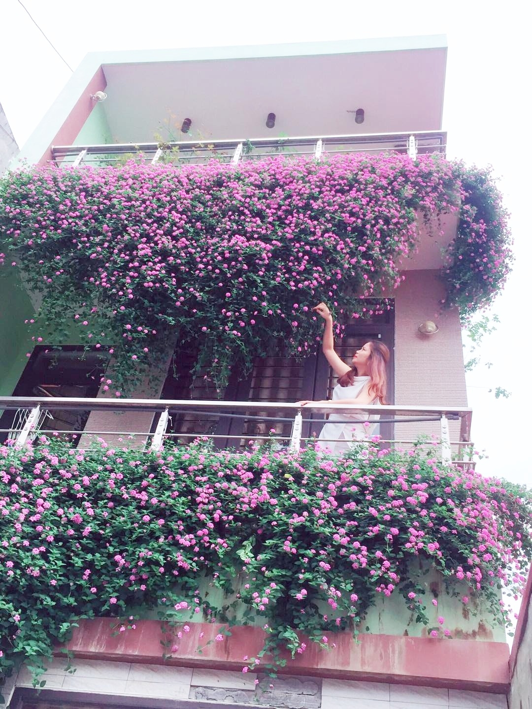 mat tien ngoi nha dien bien dep nhu tranh ve nho phu kin hoa mau tim ruc ro