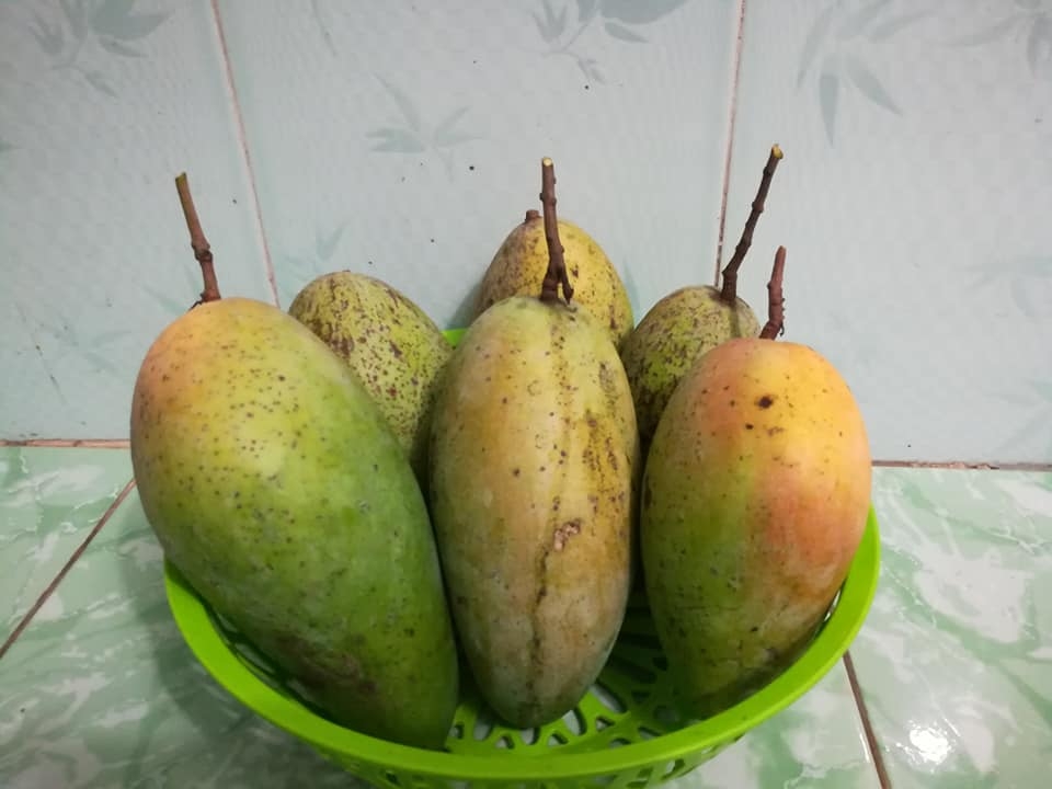 me ba con trong thanh cong du cac loai rau qua nang suat tren san thuong o hai duong