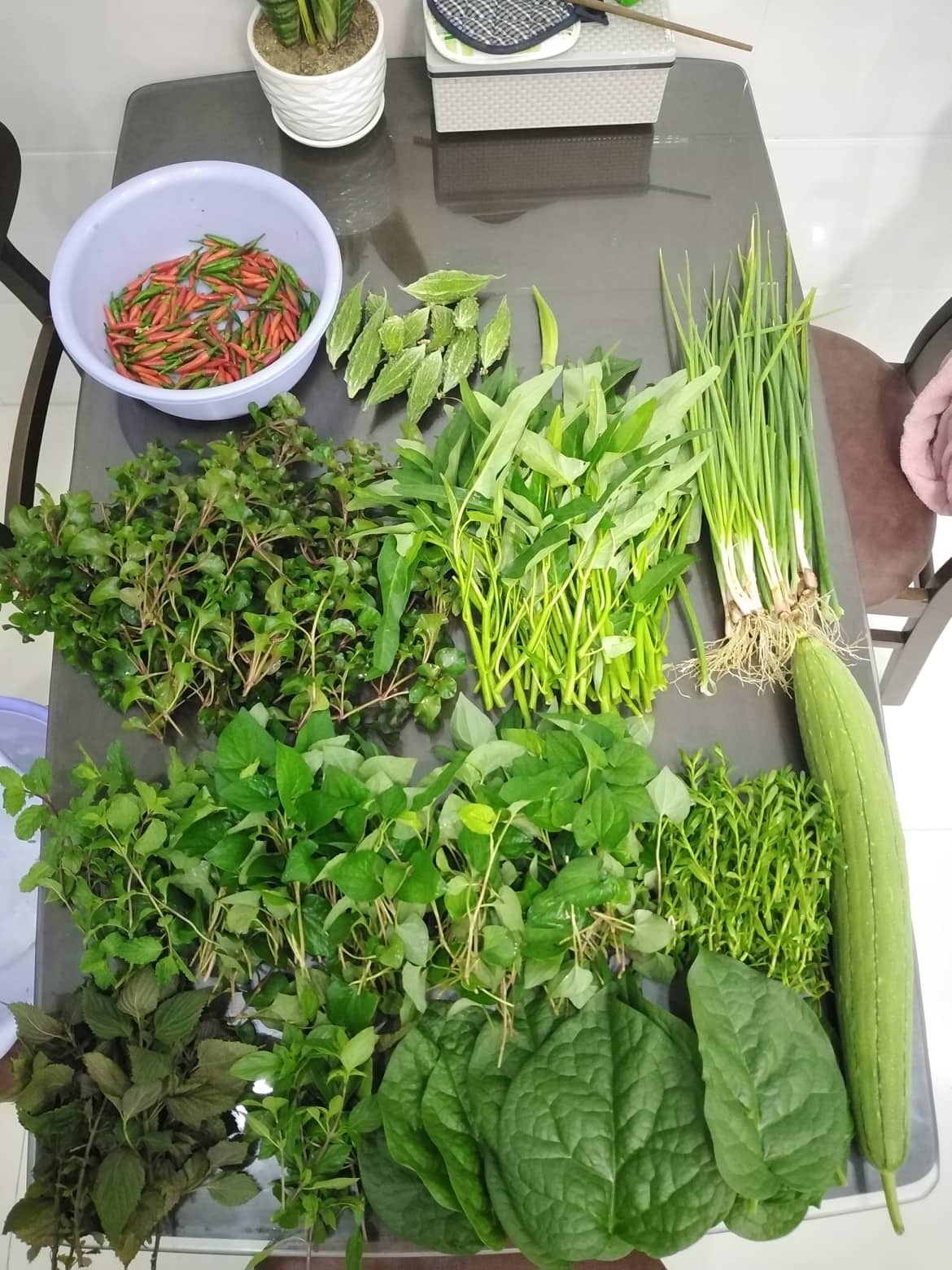 san thuong 25m2 du loai rau qua tuoi tot nho cach tan dung rac nha bep