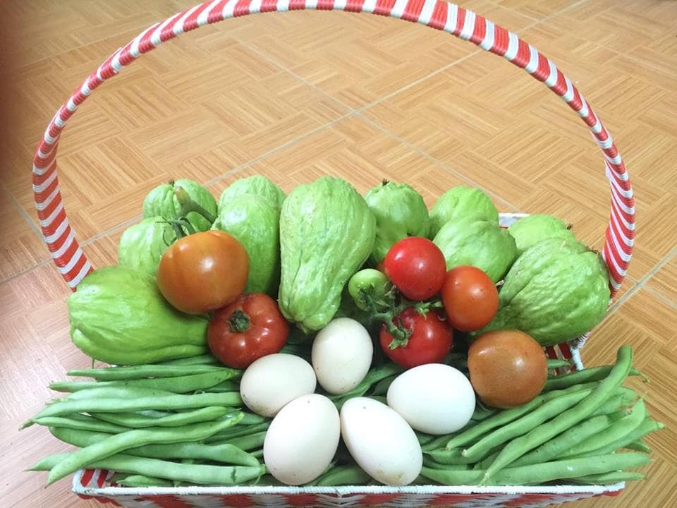 Vườn rau hữu cơ tốt tươi trên sân thượng của "nông dân thành thị" ở Hà Nội vuon rau huu co tot tuoi tren san thuong cua nong dan thanh thi o ha noi