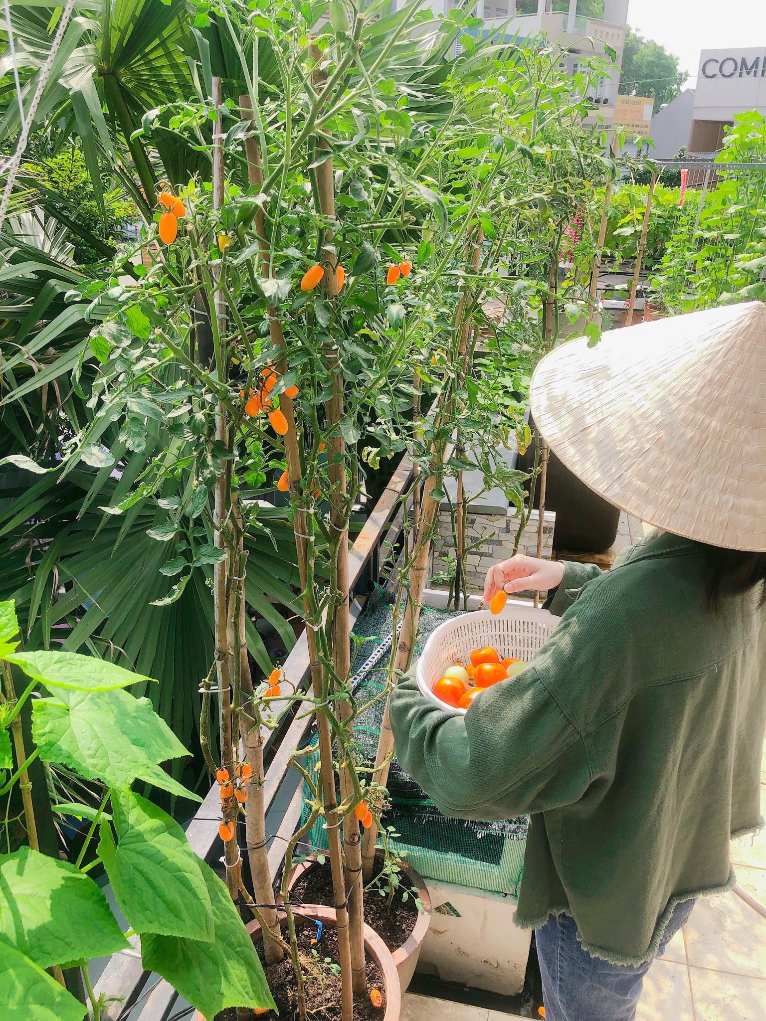 me nau an va trong rau co gai phu kin du loai rau qua sach tren san thuong rong 30m2 o binh duong