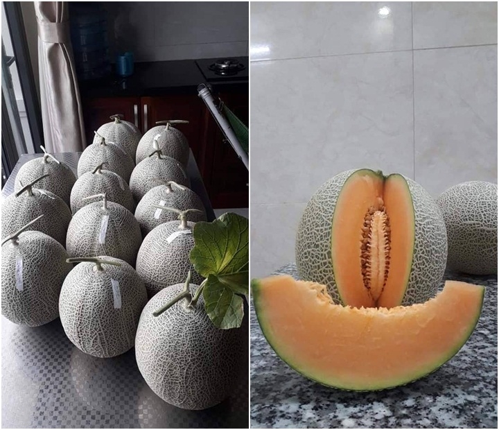 Khu vườn sân thượng đầy ắp cây trái xum xuê của ông bố trẻ ở Sài Gòn khu vuon san thuong day ap cay trai xum xue cua ong bo tre o sai gon