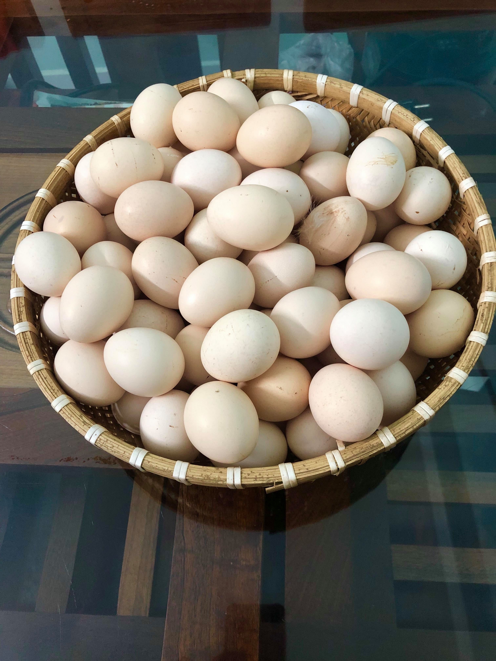 san thuong 80m2 chat kin rau qua hoa hong va ga sach o sai gon