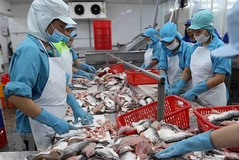 co hoi quang ba hang viet den nguoi tieu dung mexico