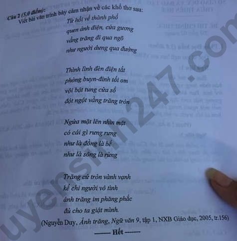 3031 dap an de thi ngu van tuyen sinh lop 10 vao thpt tinh thua thien hue anh2