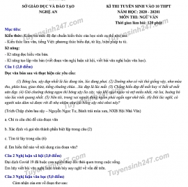 dap an de thi ngu van tuyen sinh lop 10 vao thpt tinh nghe an nam 2020