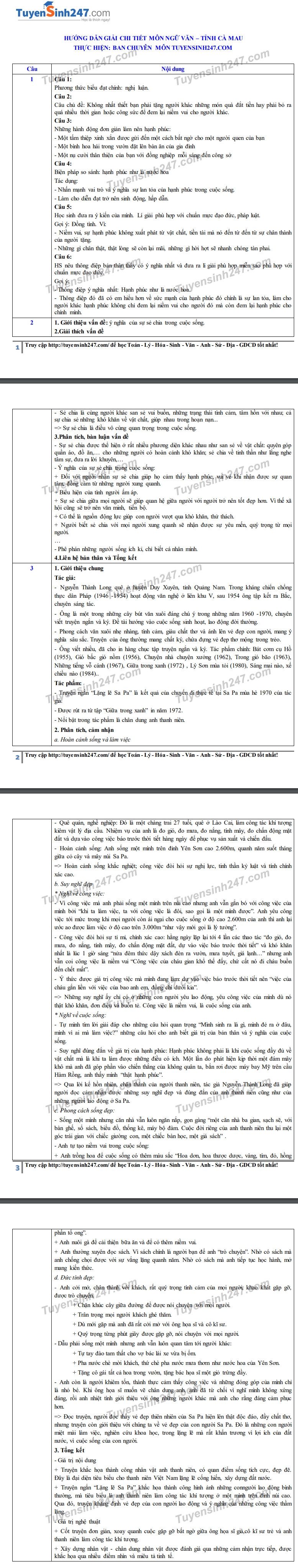 4822 dap an de thi ngu van tuyen sinh lop 10 vao thpt ca mau4