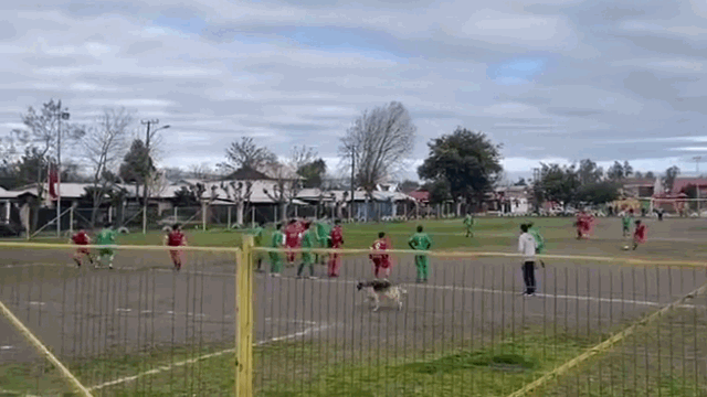 video cho chay vao san danh dau ghi sieu pham