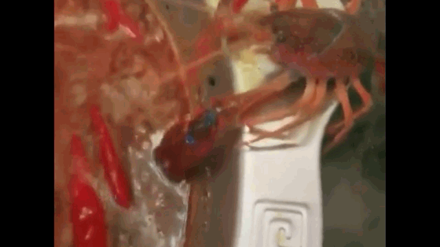 video tom hum da t tu phe cang de thoat khoi noi lau dang soi