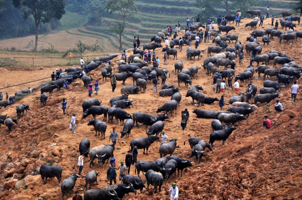 4 chợ phiên mà Việt kiều "không thể bỏ qua" khi về thăm quê hương