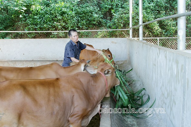 Chăm lo, tạo việc làm cho lao động hồi hương