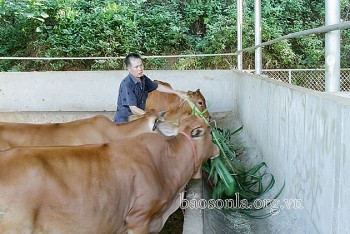 Chăm lo, tạo việc làm cho lao động hồi hương